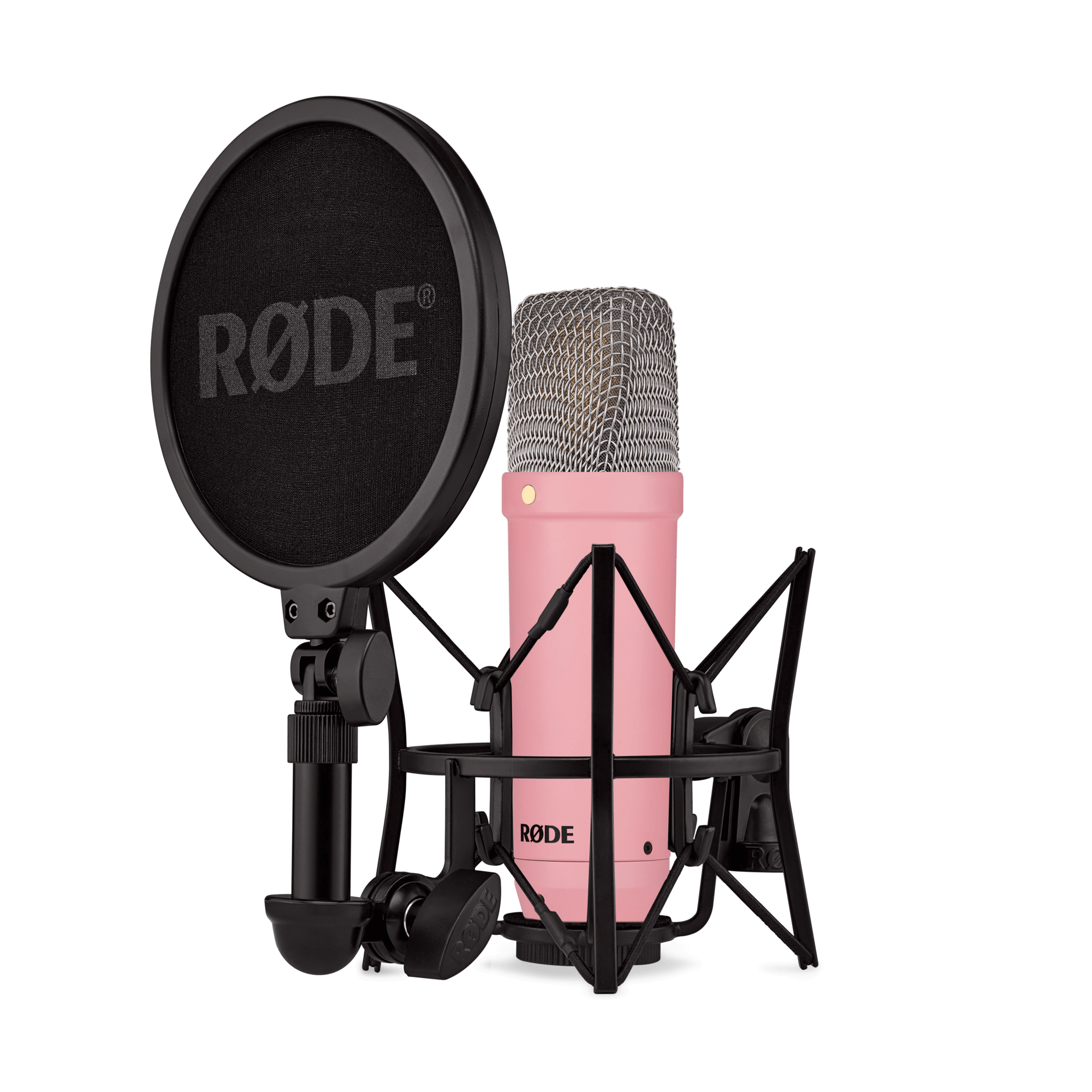 NT1 Signature Rose