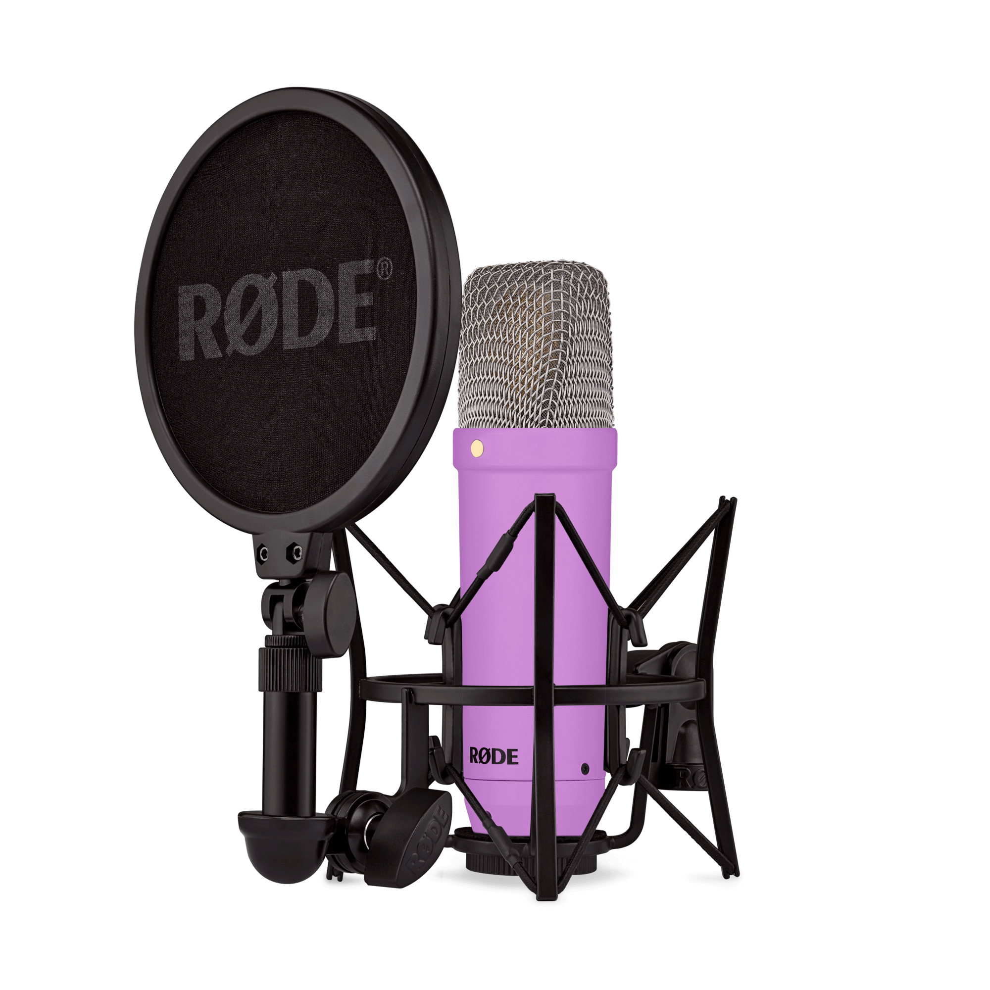 NT1 Signature Violet
