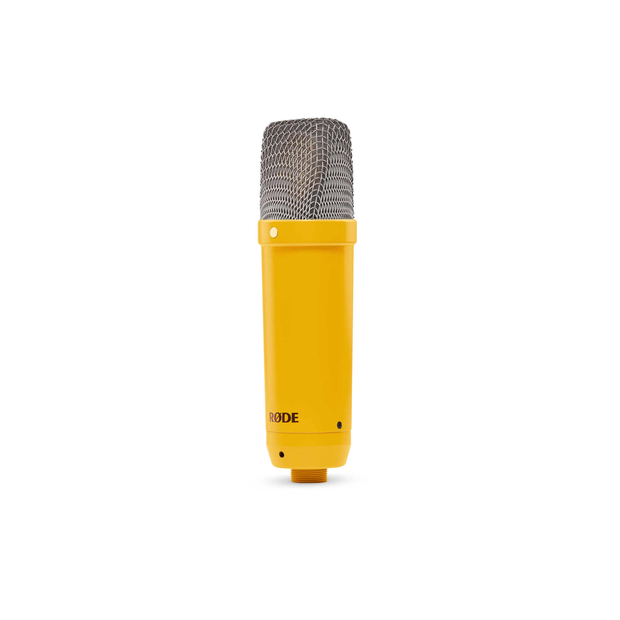 NT1 Signature Jaune 3